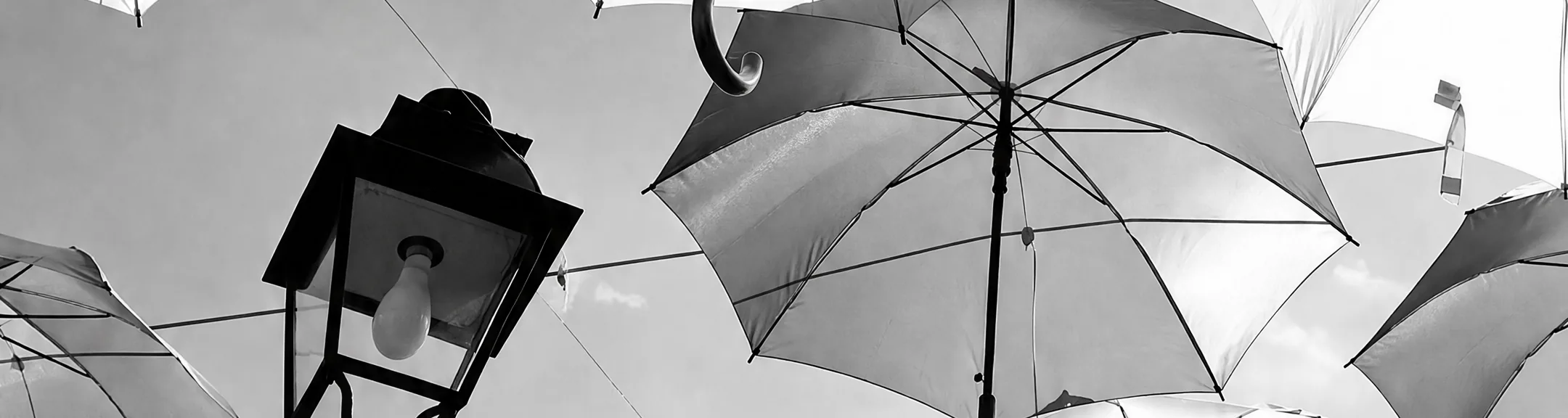 Parapluies suspendus au-dessus d’une rue